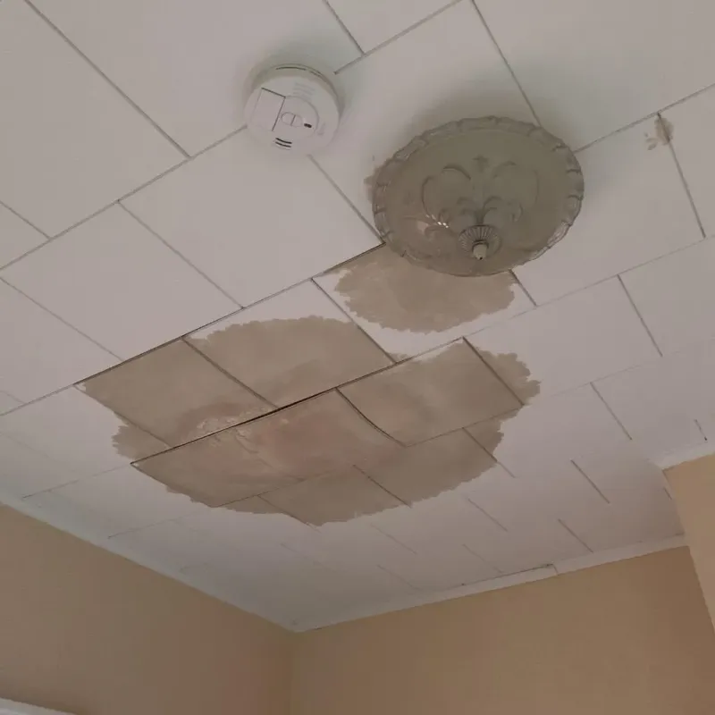 Ceiling Water Damage Repair in Glen Alpine, NC