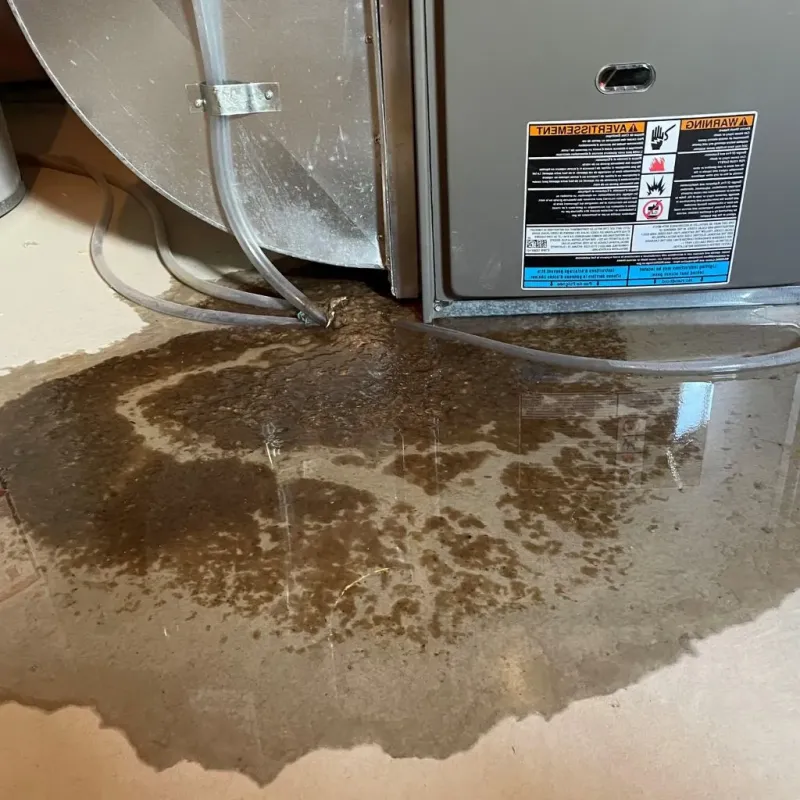 Pipe Burst and Leak Restoration in Glen Alpine, NC